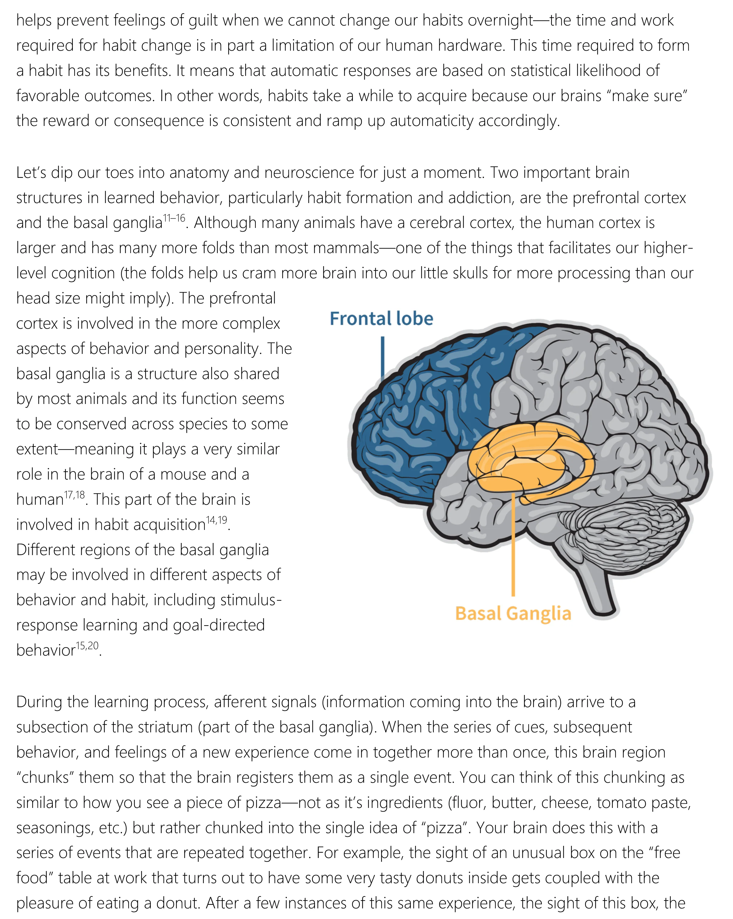 Evidence-Based Habit Building; Finally Get Sh*t Done - eBook - Image 5