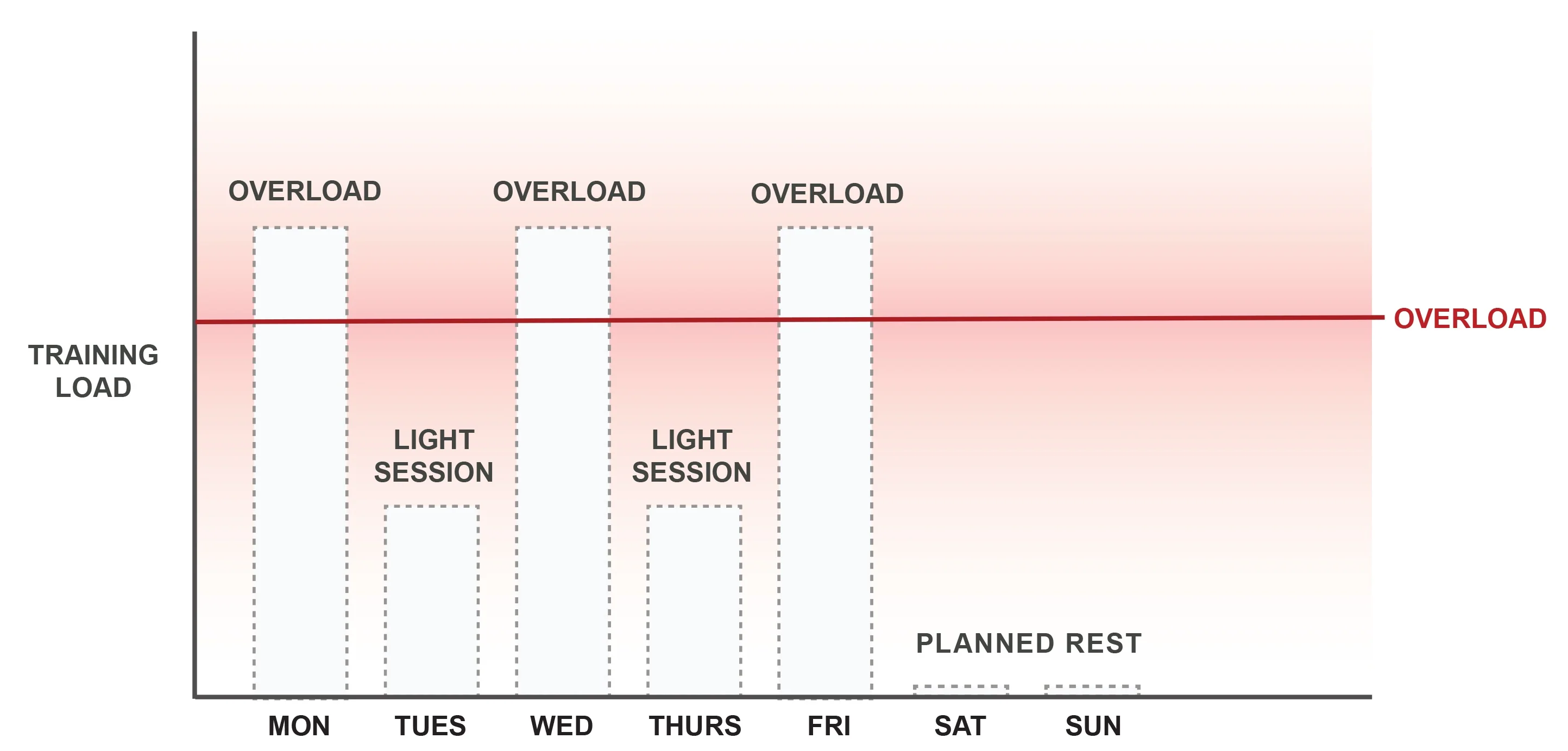Recovering From Training eBook - Image 4