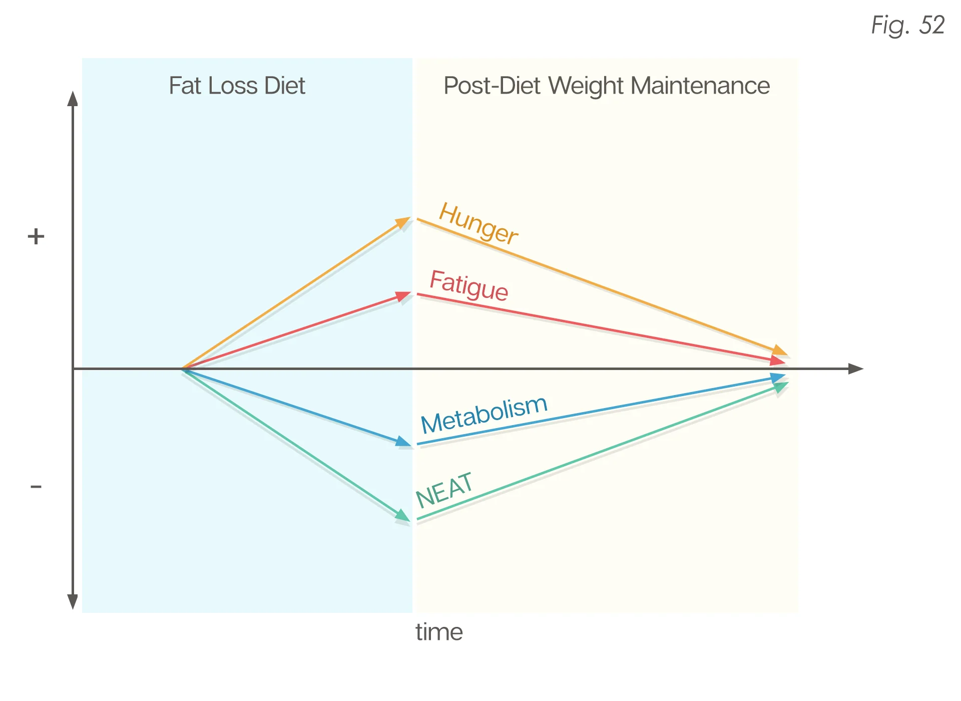 The Renaissance Diet 2.0 eBook - Image 9