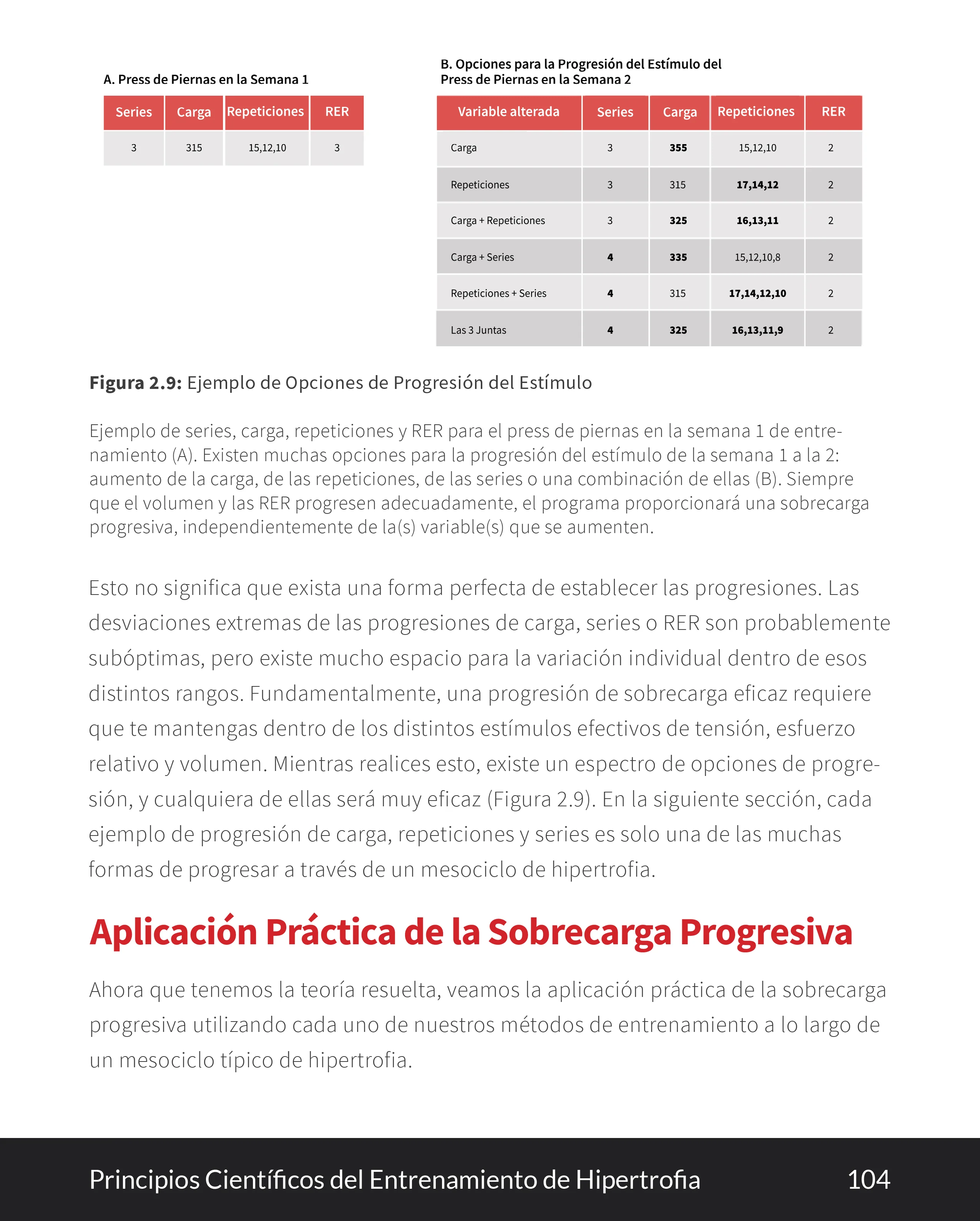 Principios Cientificos del Entrenamiento de Hipertrofia eBook - Image 5